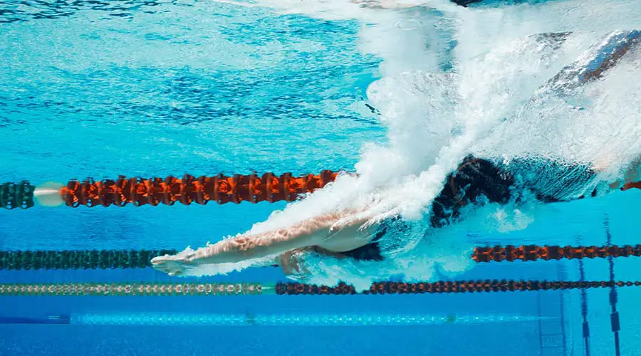 Swimming: history, rules, events, styles and pool dimensions 4 olympic swimming pool size