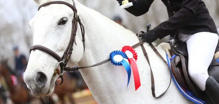 todo- sobre las carreras de caballos