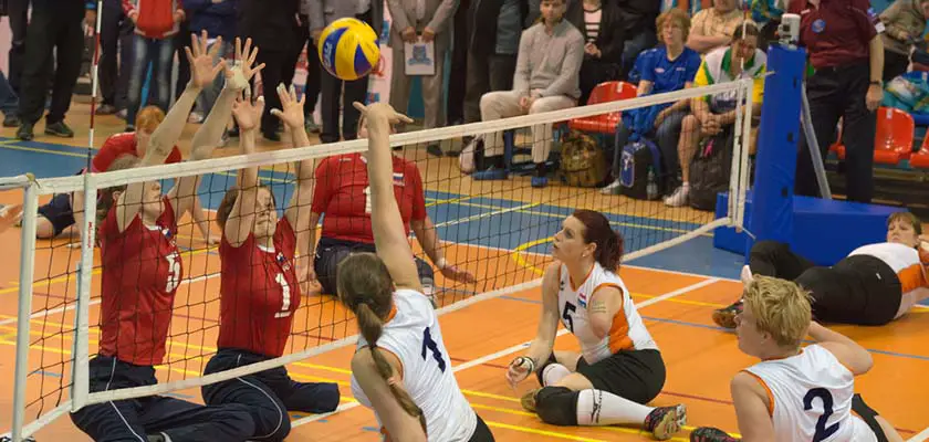 todo sobre el voleibol sentado