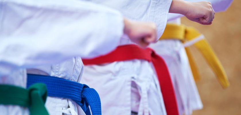 Tudo sobre o Karate Kata