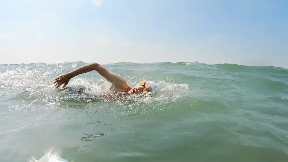 Water marathon rules: venue, categories and more 2 regras da maratona aquática