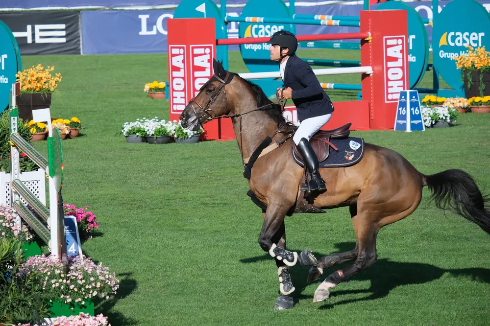 Best odds for equestrianism at the Paris Olympics 2024 2 Melhores odds para hipismo nas Olimpíadas de Paris 2024
