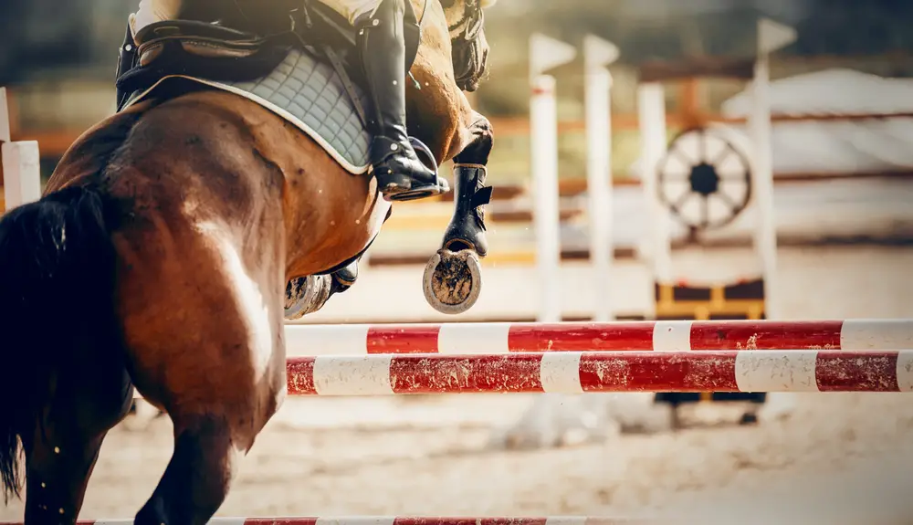 Best odds for equestrianism at the Paris Olympics 2024 3 Melhores odds para hipismo nas Olimpíadas de Paris 2024