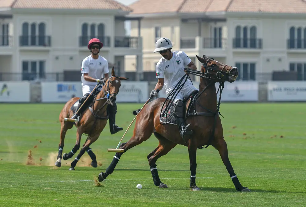 Best odds for equestrianism at the Paris Olympics 2024 4 Melhores odds para hipismo nas Olimpíadas de Paris 2024