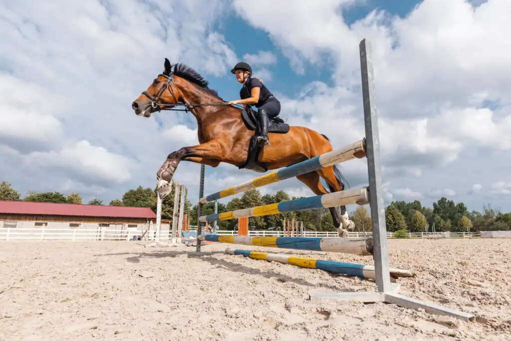 2024 Olympics: meet the biggest names in Equestrianism today 2 biggest names in equestrianism today