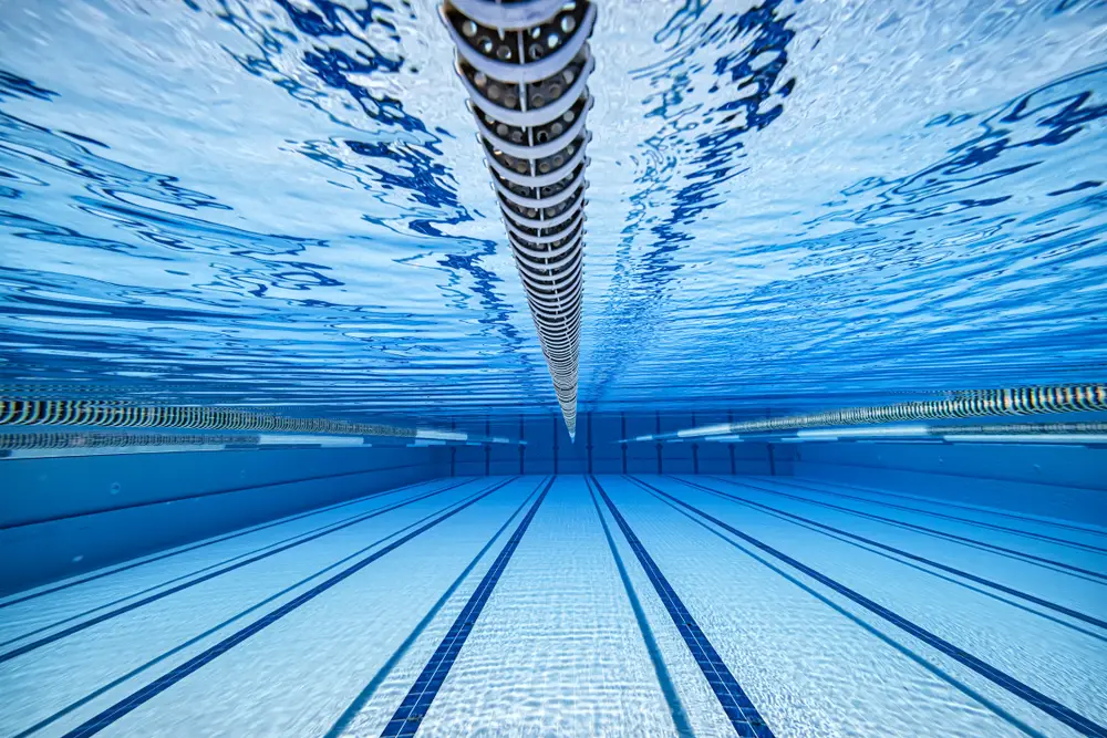 Top 20 female swimmers in Brazil today 4 melhores nadadoras do Brasil da atualidade